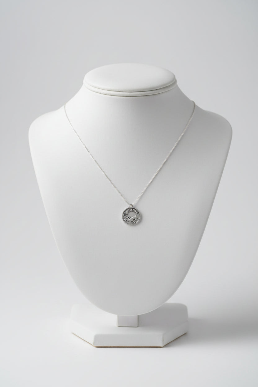 Birthstone Necklace (Capricorn)